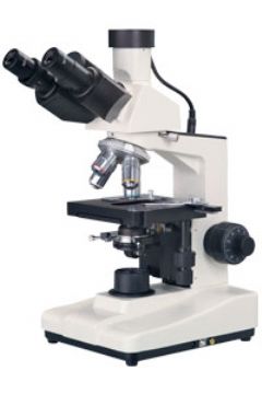 显微镜PXS343